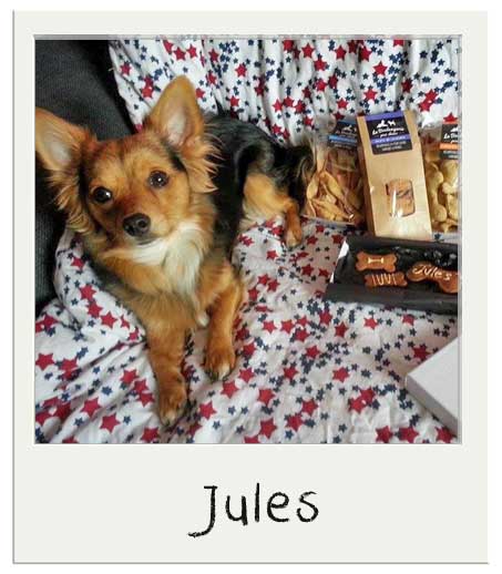 Jules aime nos biscuits personnalisés pour chiens